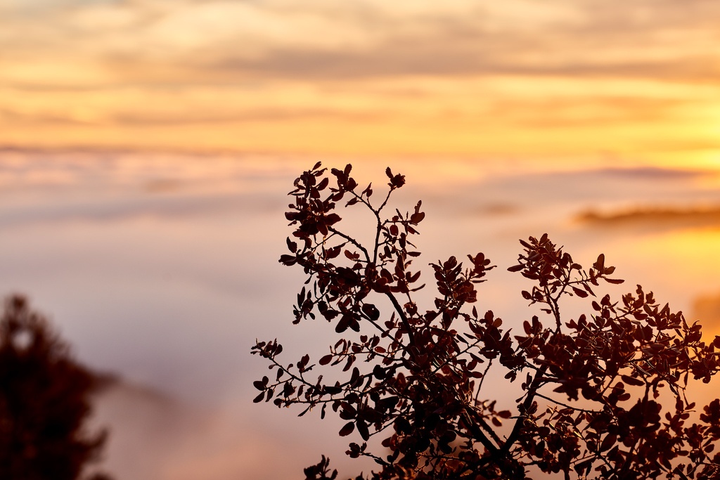 Sonnenuntergang in Montsant CS-161226-0269-1.jpg