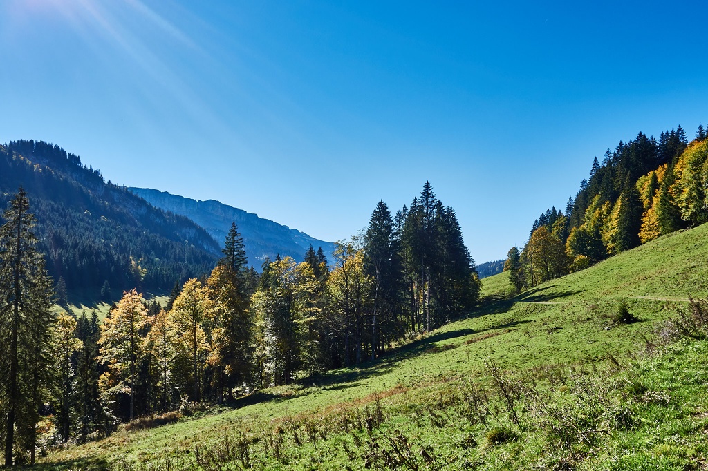 Unterwegs mit dem Mountainbike im Lochbachtal CS-181005-0178-1.jpg