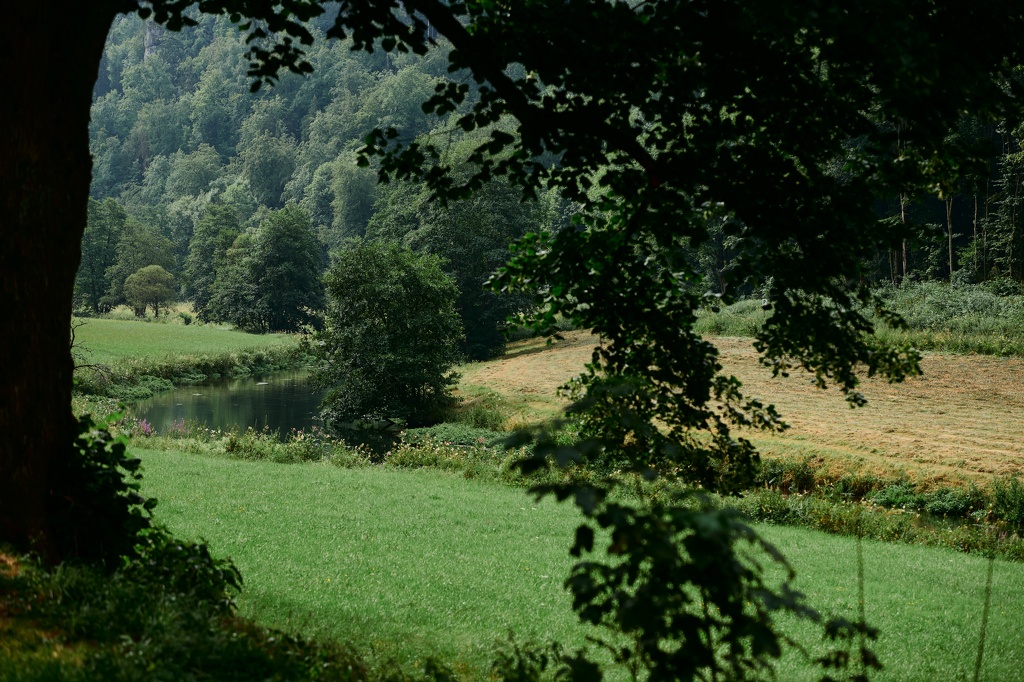 CS-200726-0003-1.jpg