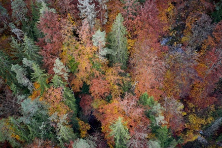Landschaftsfotografie Fränkische Schweiz