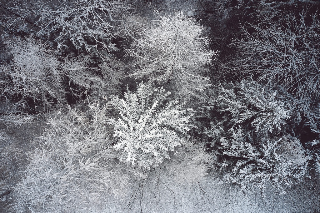 Luftaufnahmen bei Frost CS-201210-0106-3.jpg