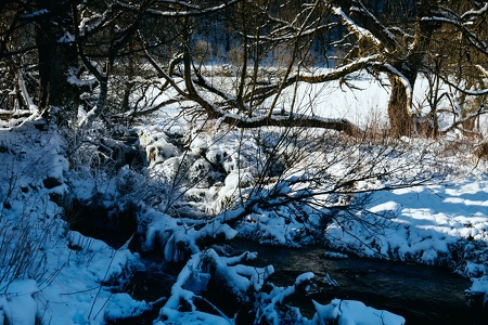 Winter im Trubachtal