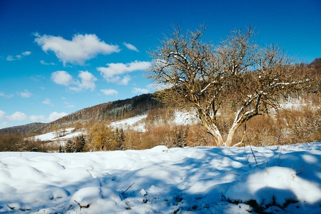 Winter im Trubachtal