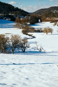 Winter im Trubachtal