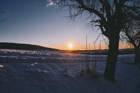 Winterimpressionen