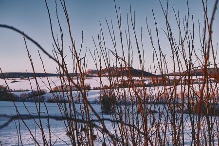 Winterimpressionen