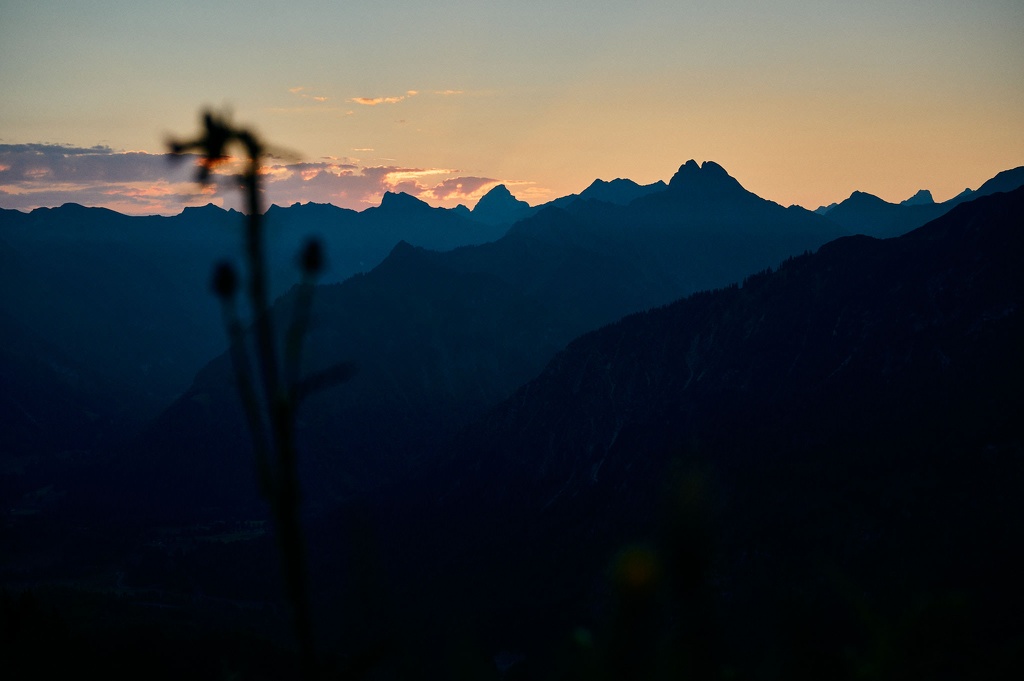 Blick auf die Allgäuer Alpen in der Morgendämmerung CS-210910-4990-3.jpg