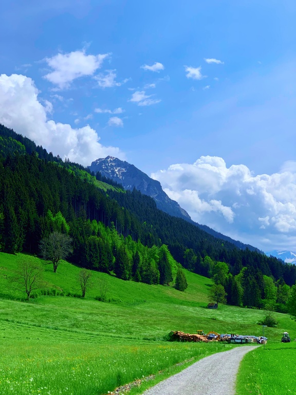 Bergwiese vor dem Rubihorn CS-220517-0672-1.jpg