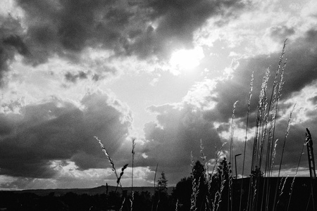 Seetrip Ammersee
