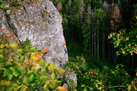Sportklettern an der Alpenvereinswand