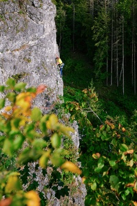 Sportklettern an der Alpenvereinswand