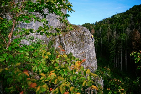 Sportklettern an der Alpenvereinswand