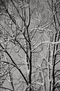 Fotowalk Guttenburger Berg