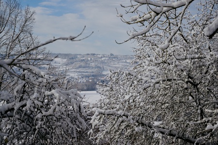 Fotowalk Guttenburger Berg