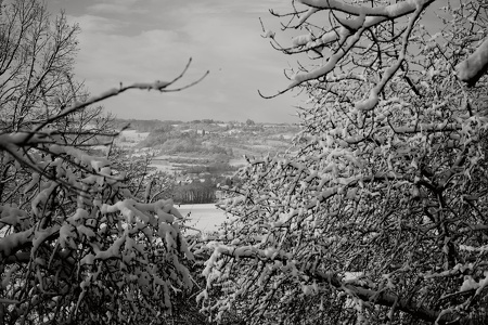 Fotowalk Guttenburger Berg