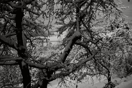 Fotowalk Guttenburger Berg