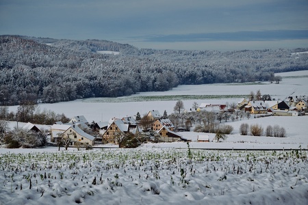 Fotowalk Guttenburger Berg
