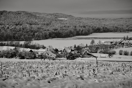 Fotowalk Guttenburger Berg