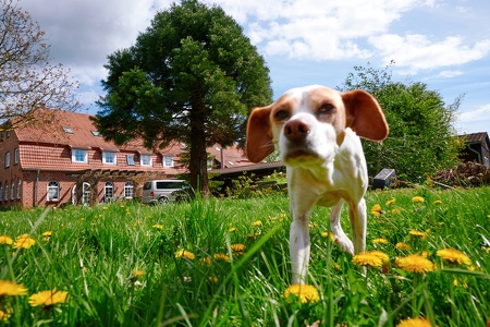 Exploring Klütz