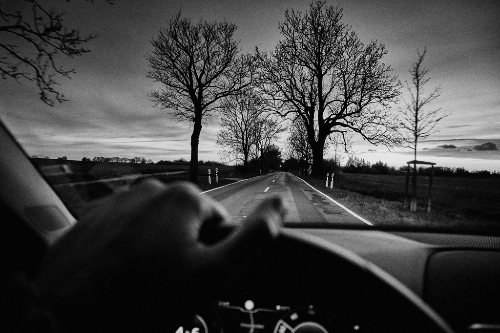 Auf dem Rückweg nach Grundshagen CS-240422-0983-2.jpg