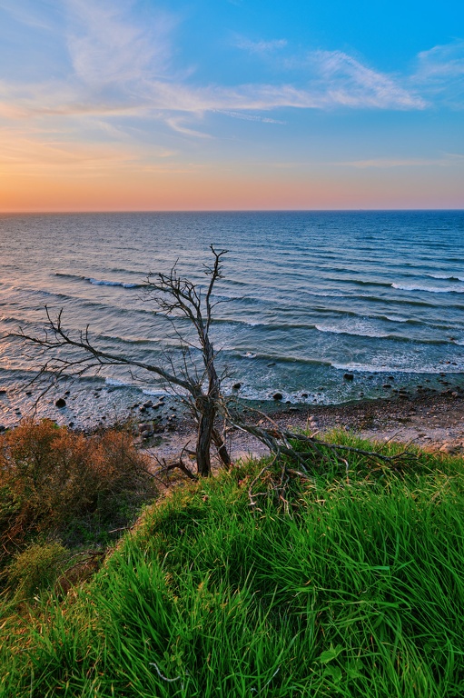 Toter Baum an der Steilküste bei Steinbeck in der Lübecker Bucht CS-240501-2676-1.jpg