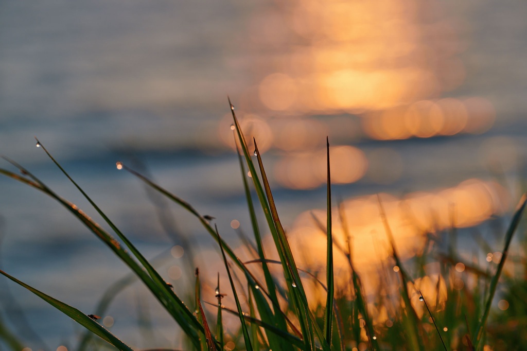 Sonnenaufgang an der Steilküste Boltenhagen CS-240502-3244-1.jpg