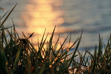 Landschaftsfotografie Ostsee