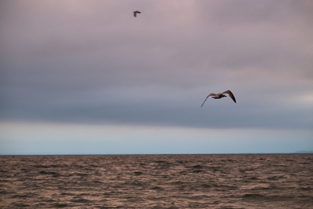 Landschaftsfotografie Ostsee