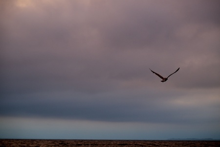 Landschaftsfotografie Ostsee