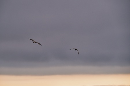 Landschaftsfotografie Ostsee