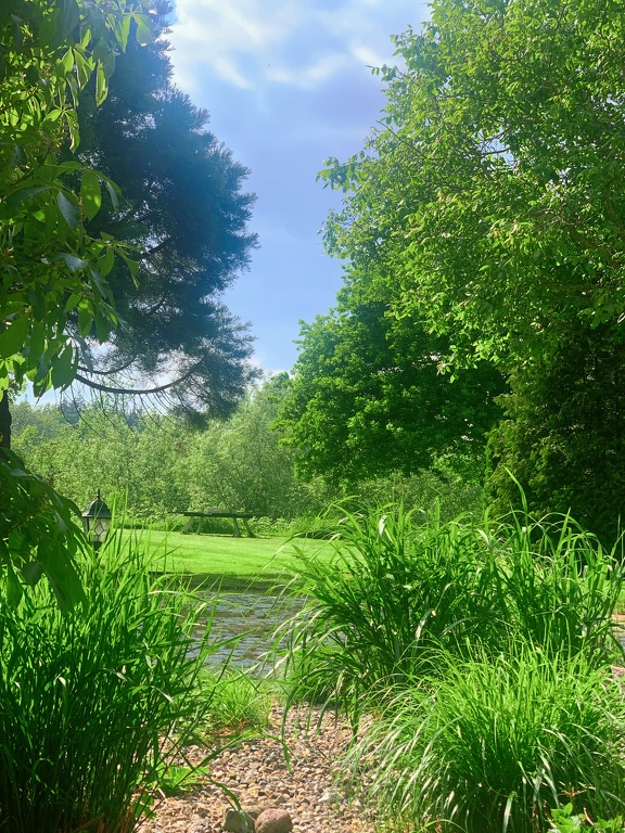 Blick in den Garten CS-240518-6793-1.jpg