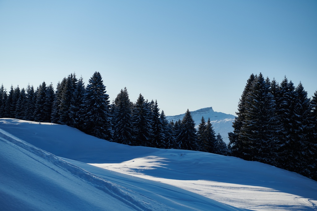 Allgäu-Trip Winter 2019/2020 - CS-200120-0311-1.jpg CS-200120-0311-1.jpg