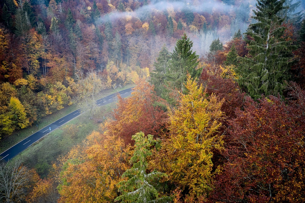 Das Wiesenttal zwischen Doos und Behringersmühle aus der Vogelperspektive im Herbst CS-201027-0126-3.jpg