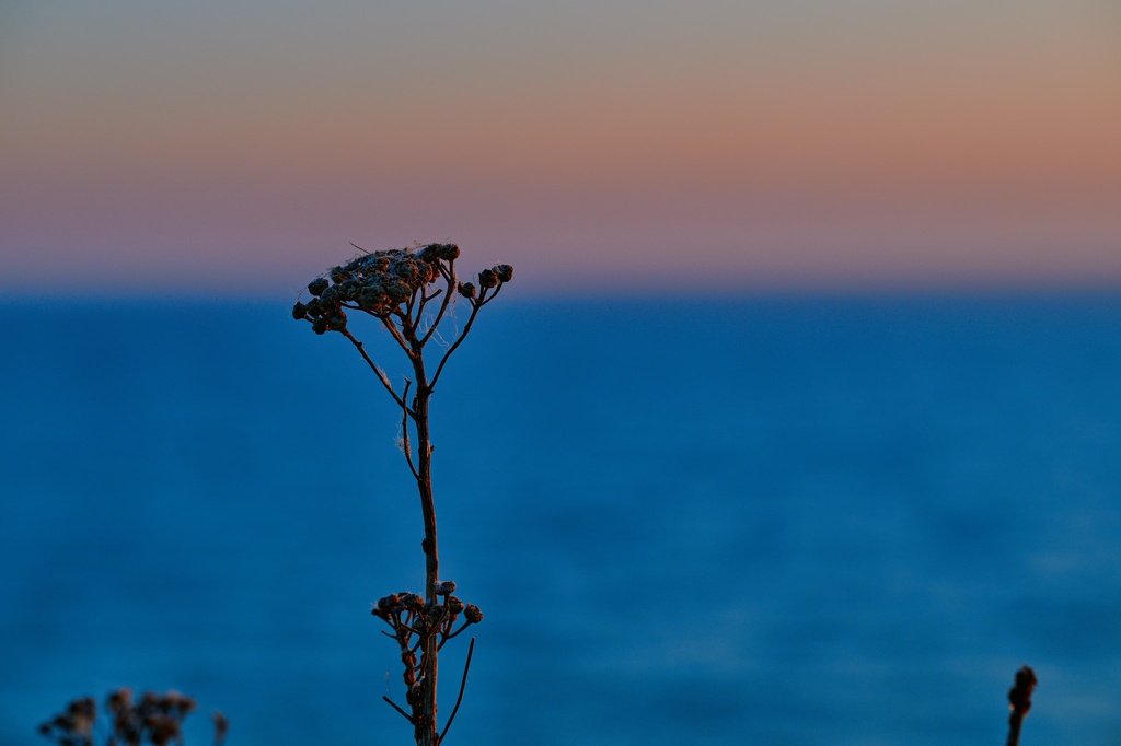 Sonnenaufgang an der Steilküste Boltenhagen CS-240502-3247-1.jpg